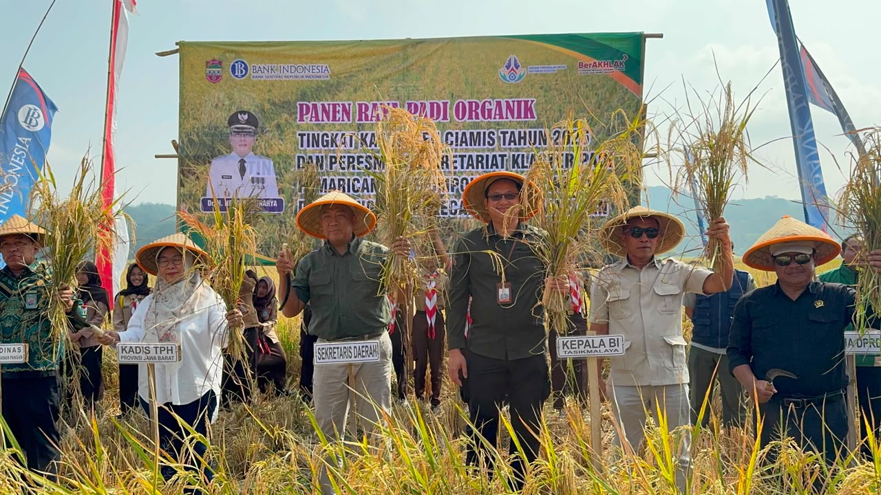 BI Tasikmalaya dan Pemkab Ciamis Perkuat Ketahanan Pangan Lewat Panen Raya Padi Pamarican